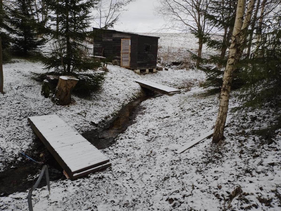 Garden House Nad Jeziorem Szelment Przejma Wielka Kültér fotó