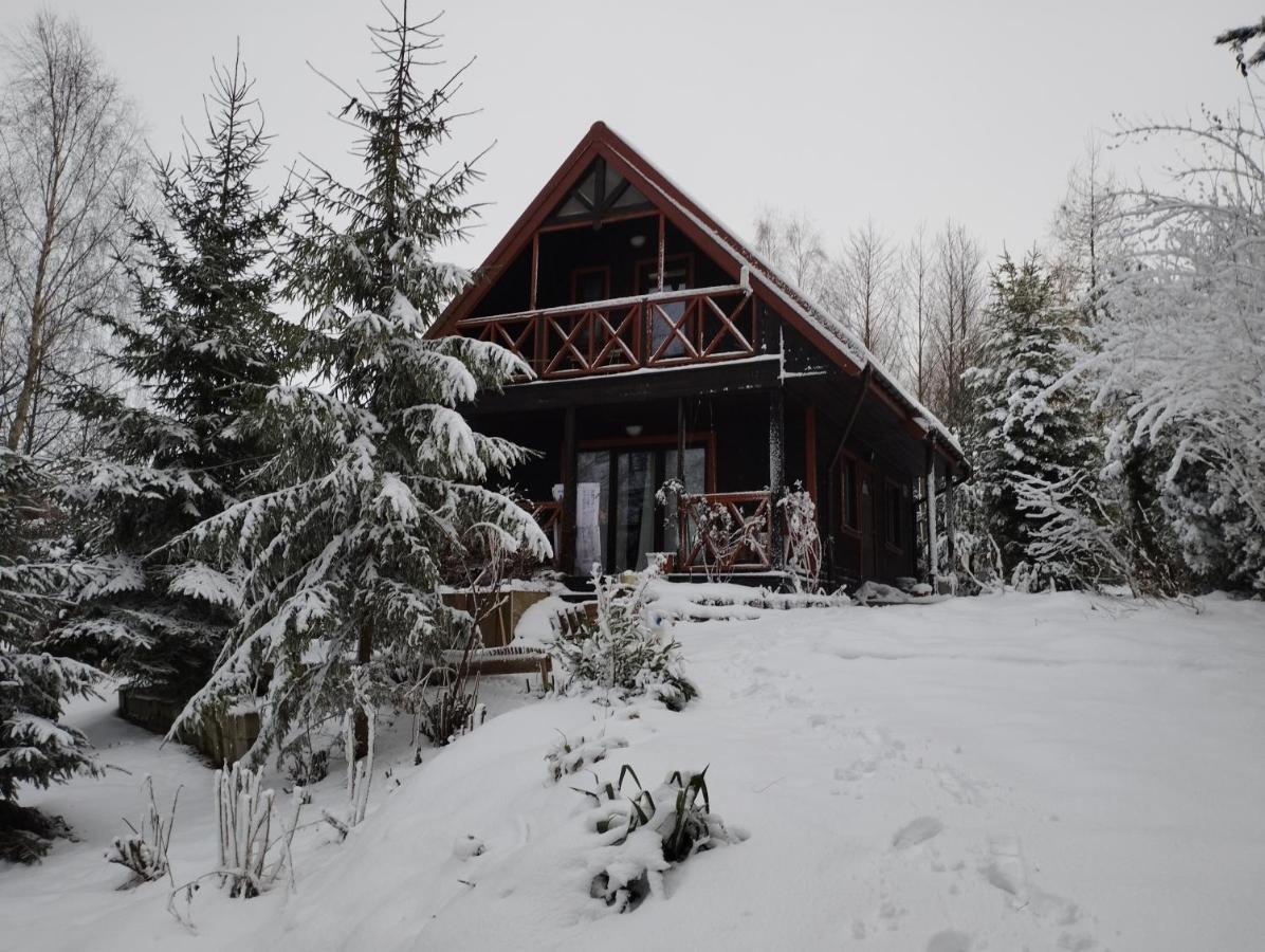 Garden House Nad Jeziorem Szelment Przejma Wielka Kültér fotó