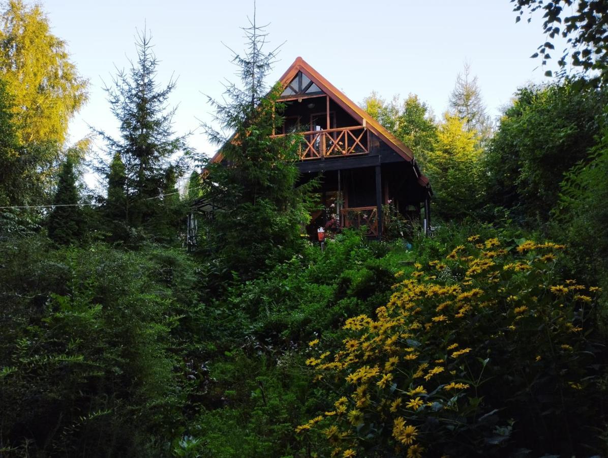Garden House Nad Jeziorem Szelment Przejma Wielka Kültér fotó